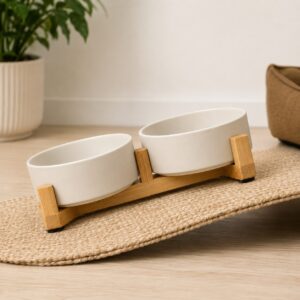Ceramic Food and Water Bowl Set