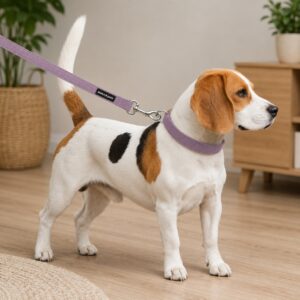 Adjustable Pet Collar for Small Dogs and Cats